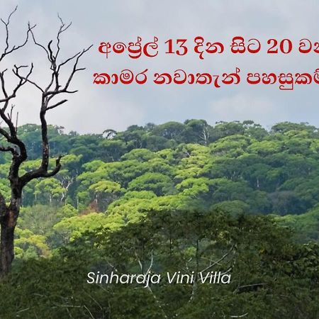 Sinharaja Vini Villa Deniyaya Exteriör bild